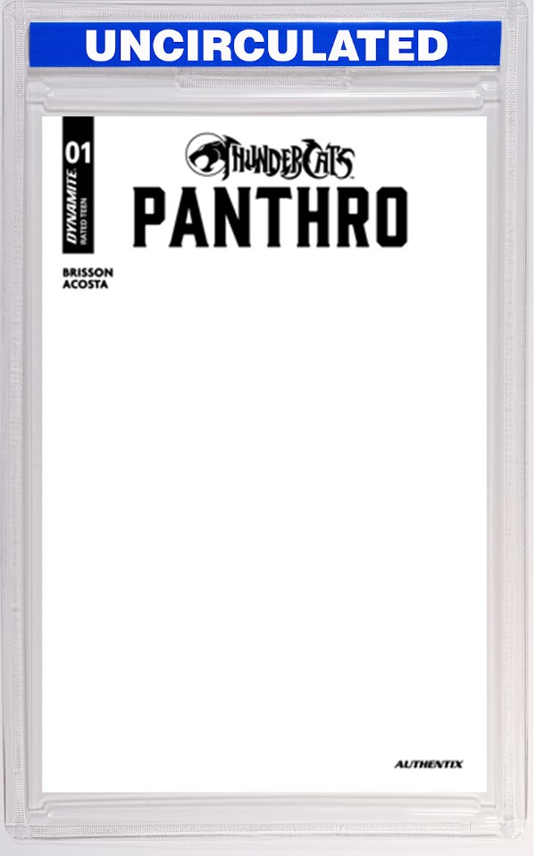 Thundercats Panthro #1 CVR E Blank Authentix VAR