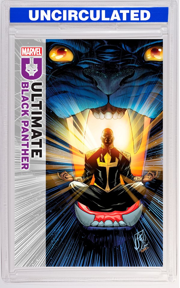 ULTIMATE BLACK PANTHER #6