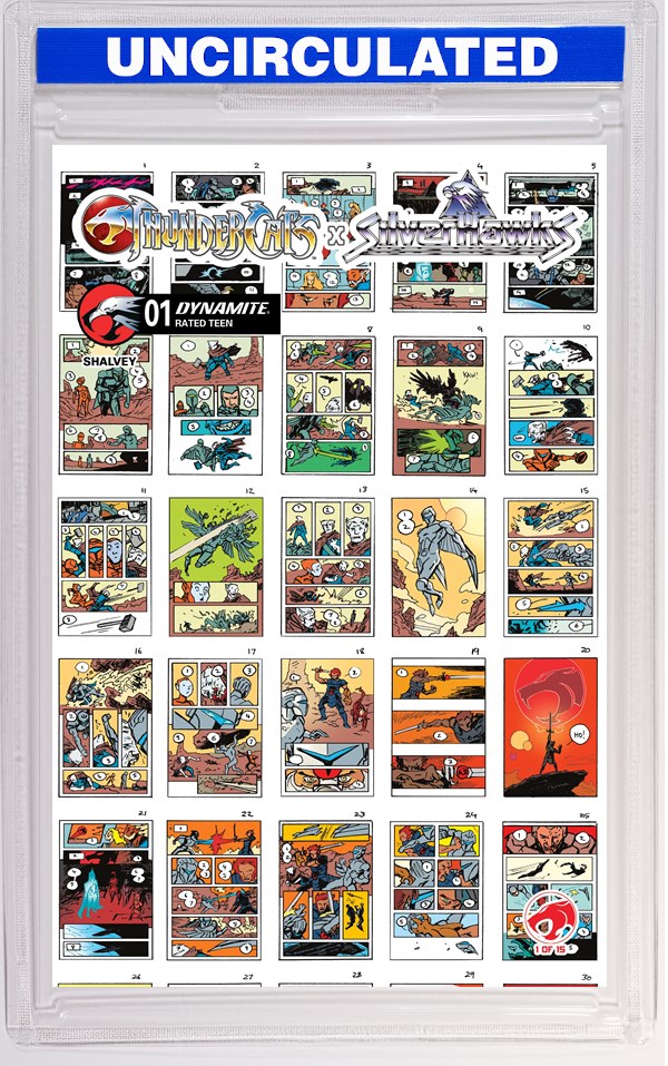 Thundercats X Silverhawks #1 CVR I INC Declan Shalvey Layouts VAR