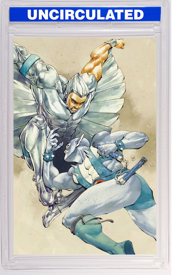 Thundercats X Silverhawks #3 CVR H INC Chuma Hill Virgin VAR