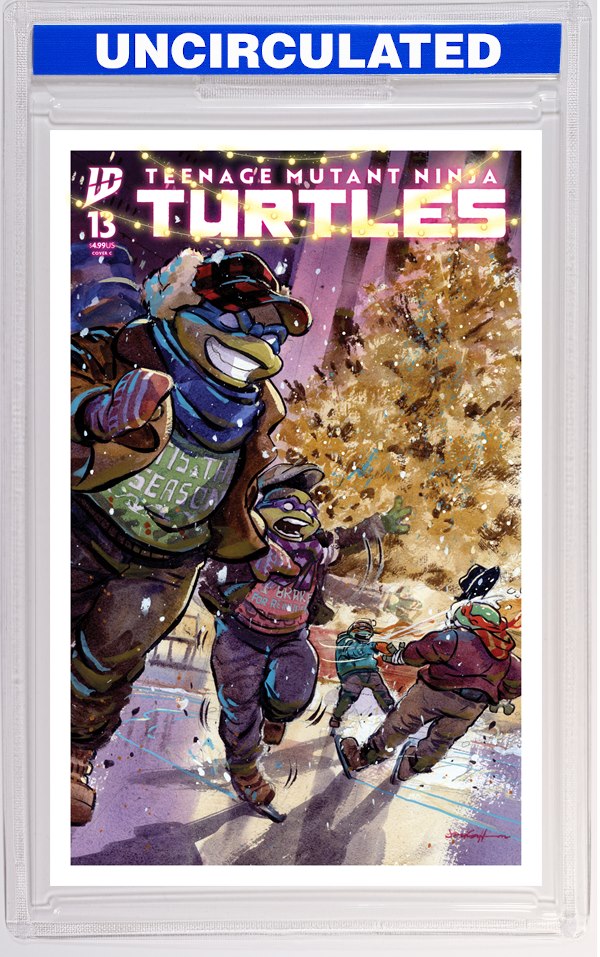Teenage Mutant Ninja Turtles #13 Variant C (Cullum)