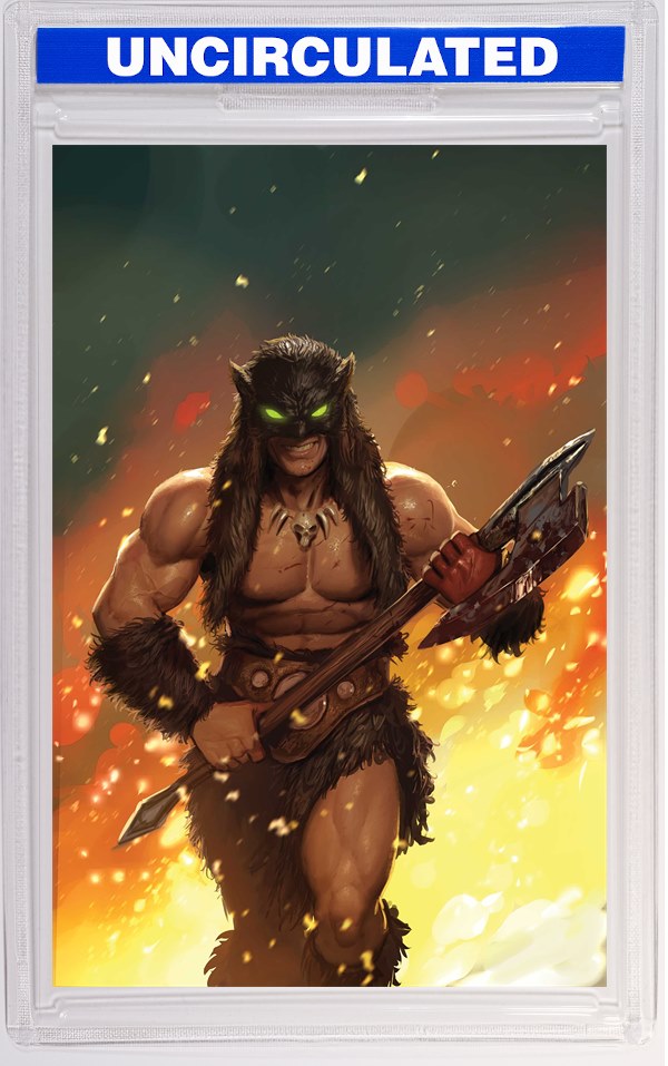 Fire And Ice Darkwolf #2 CVR J INC Stjepan Sejic Virgin VAR