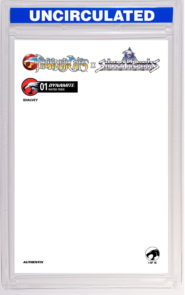 Thundercats X Silverhawks #1 CVR F Blank Authentix VAR
