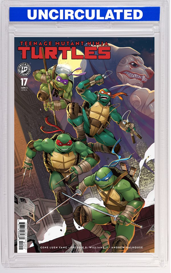 Teenage Mutant Ninja Turtles #17 Variant RI (Mercer)