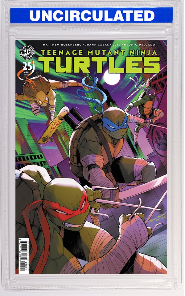 Teenage Mutant Ninja Turtles #25 Variant RI (Hannigan)