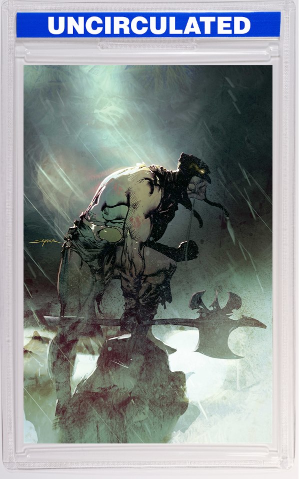 Fire And Ice Darkwolf #3 CVR I INC Stuart Sayger Virgin VAR