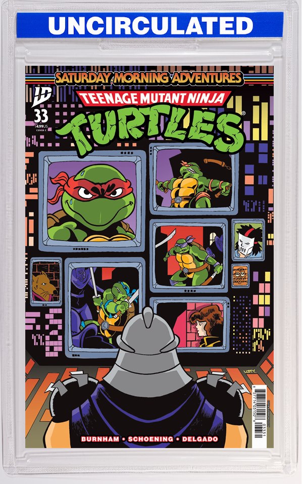 Teenage Mutant Ninja Turtles: Saturday Morning Adventures #33 Variant C (Losty)