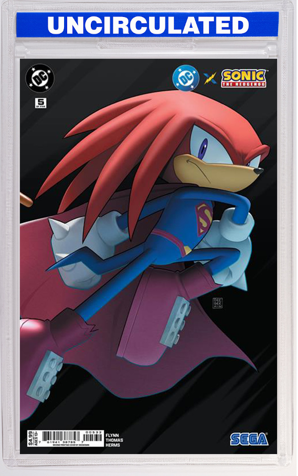 DC X Sonic The Hedgehog #5 Deegeemin Connecting Variant (2nd Printing)