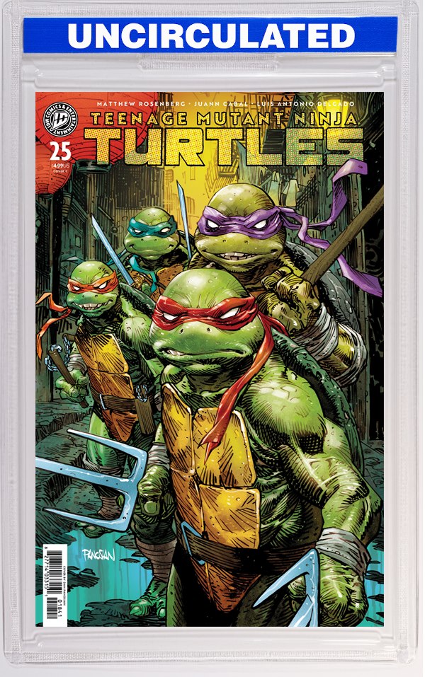 Teenage Mutant Ninja Turtles #25 Variant C (Panosian)
