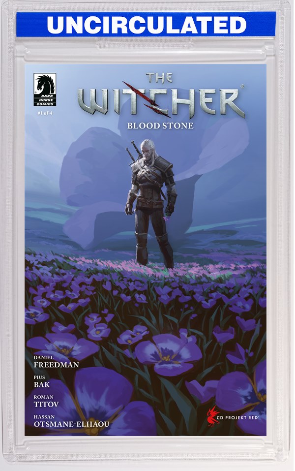 The Witcher: Blood Stone #1 (CVR C) (Axel Sauerwald)