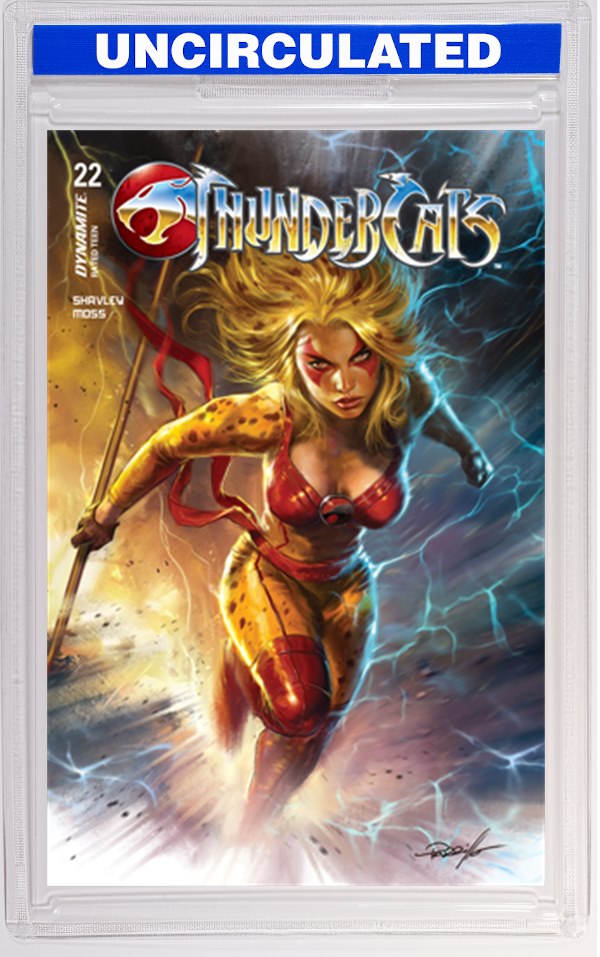Thundercats #22 CVR A Lucio Parrillo