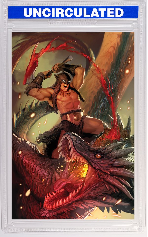Fire And Ice Darkwolf #1 CVR L INC Stjepan Sejic Virgin VAR