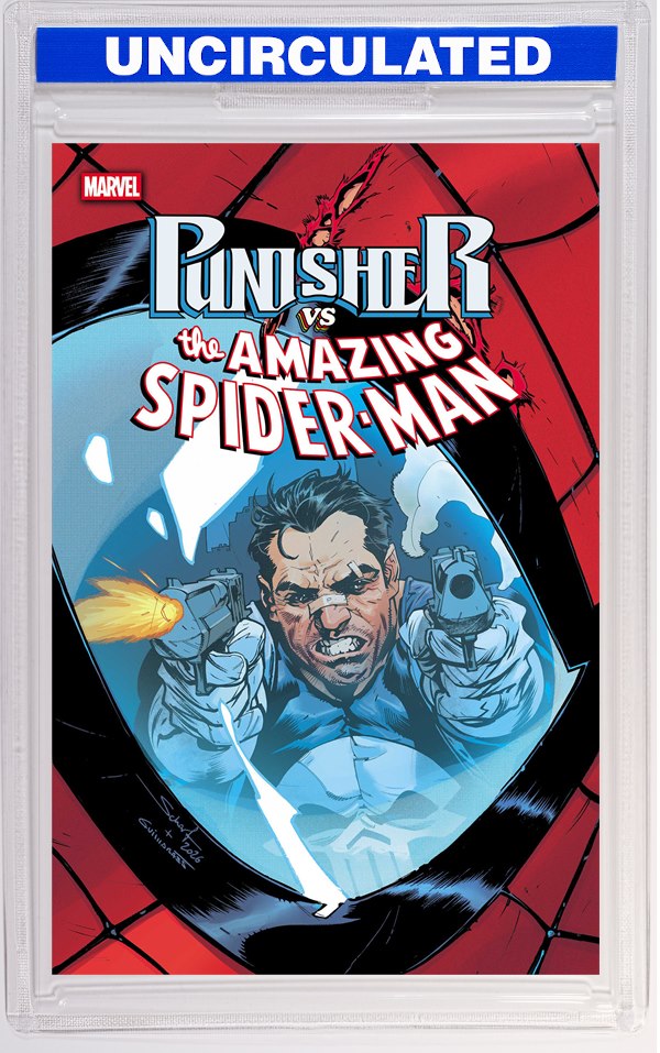 Punisher Vs. Spider-Man #5