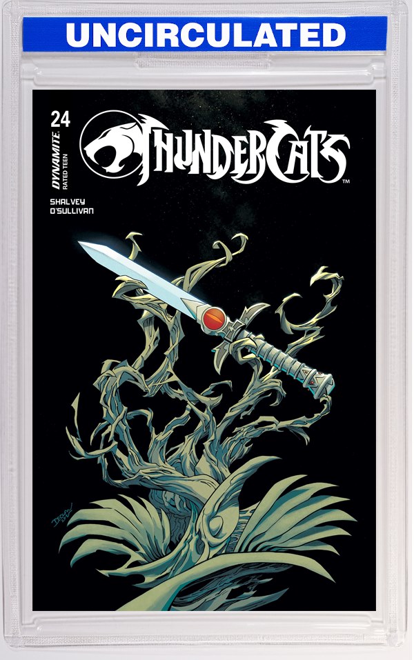 Thundercats #24 CVR B Declan Shalvey VAR