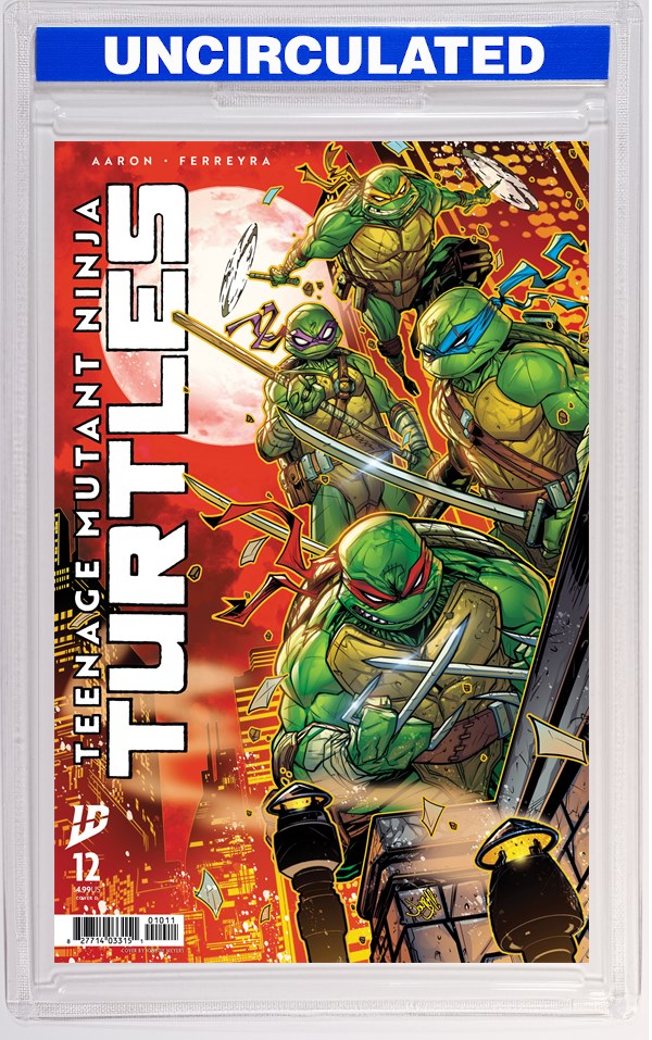Teenage Mutant Ninja Turtles #12 Variant D (Meyers)