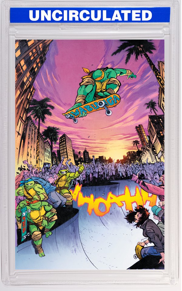 Teenage Mutant Ninja Turtles #13 Variant RI (Johnson Full Art)