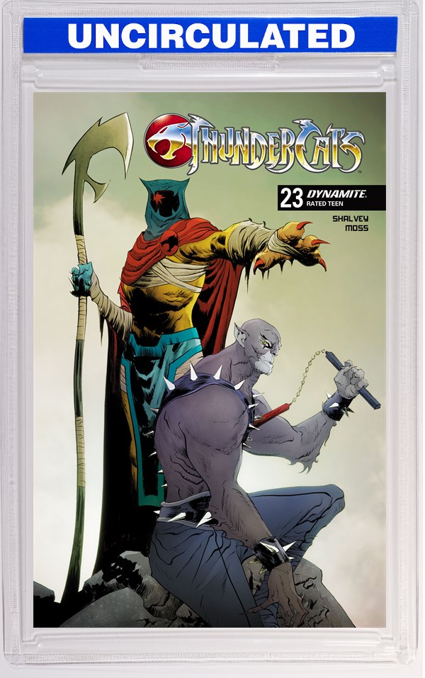 Thundercats #23 CVR C Jae Lee VAR