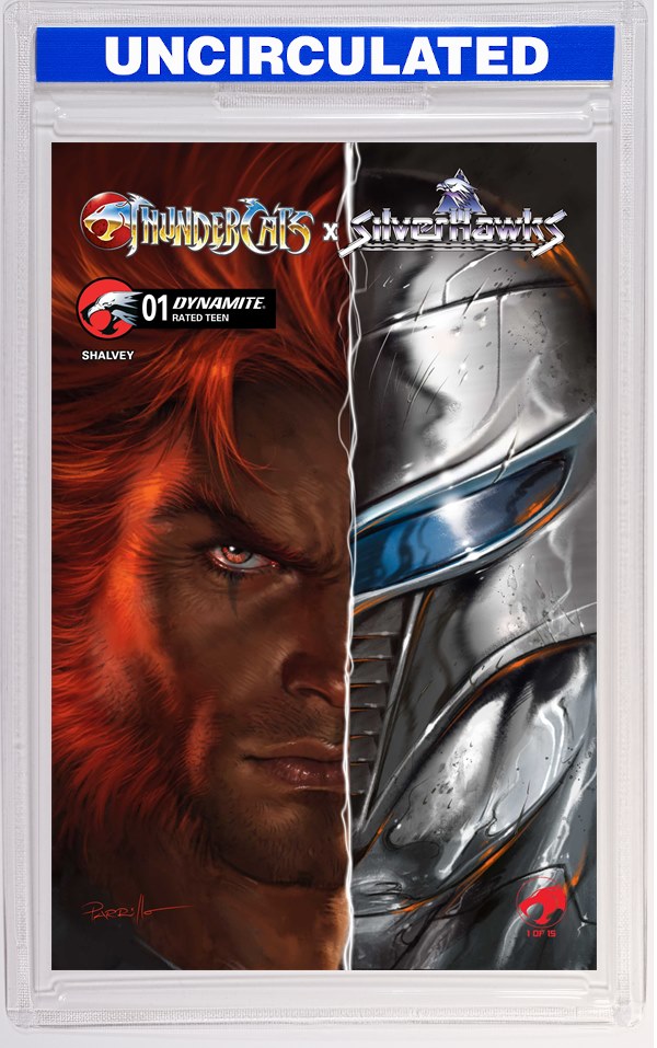 Thundercats X Silverhawks #1 CVR B Lucio Parrillo VAR