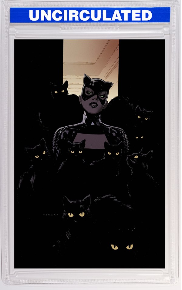 Catwoman #93 CVR B Marcio Takara Card Stock VAR