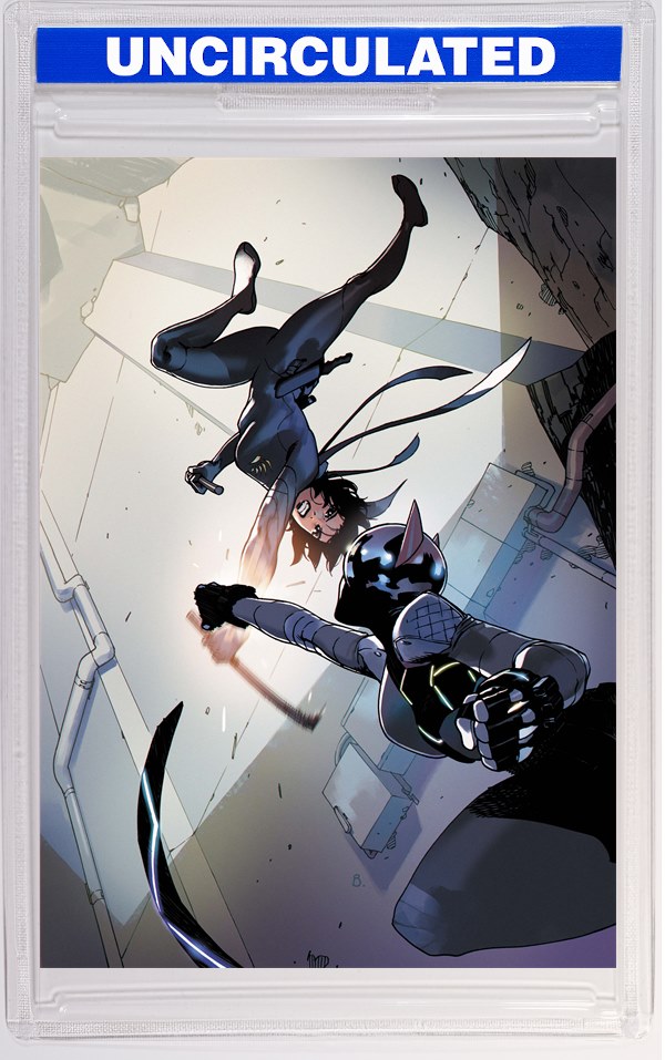 Absolute Catwoman #5 (Of 6) CVR A Bengal