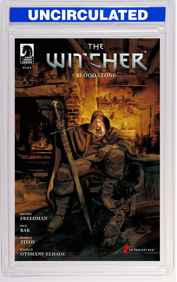 The Witcher: Blood Stone #1 (CVR B) (Gigi Cavenago)