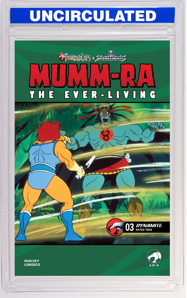 Mumm Ra The Ever Living #3 CVR E Animation Art VAR