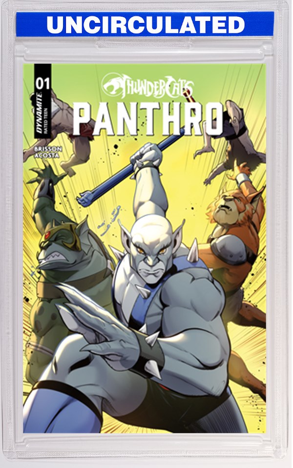 Thundercats Panthro #1 CVR C Robert Quinn VAR