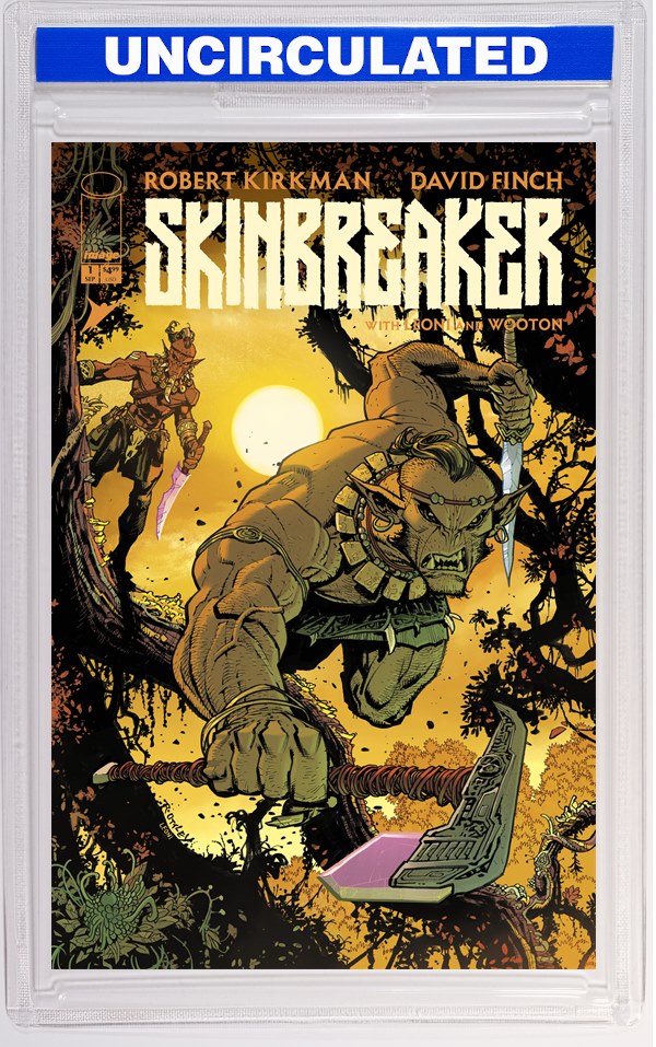 Skinbreaker #1 CVR F INC Ryan Ottley VAR (MR)