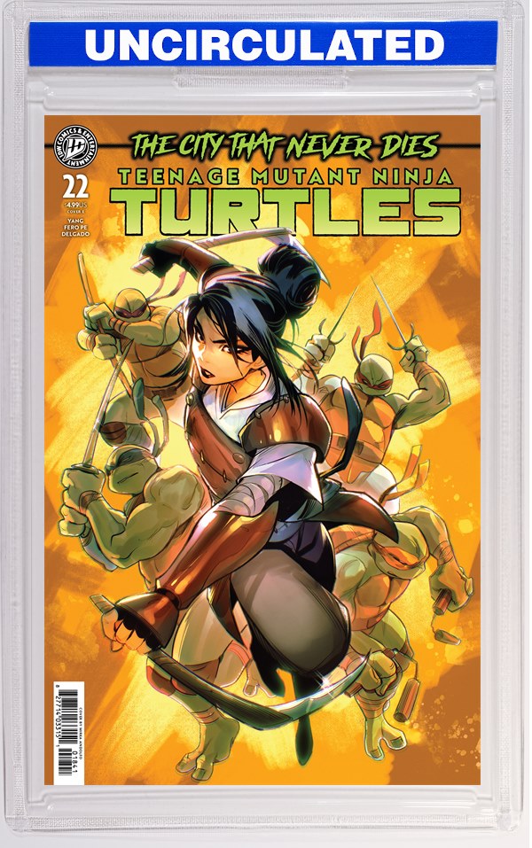 Teenage Mutant Ninja Turtles #22 Variant E (Andolfo)