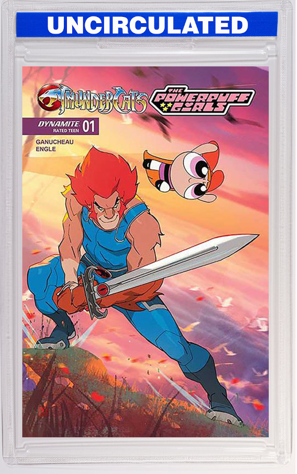 Thundercats Powerpuff Girls #1 CVR C Coran Kizer Stone VAR