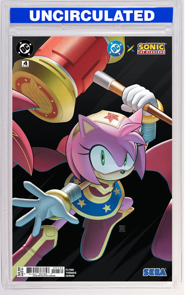 DC X Sonic The Hedgehog #4 Deegeemin Connecting Variant (2nd Printing)