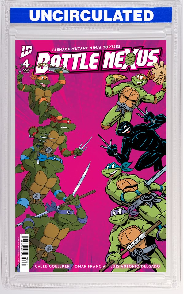Teenage Mutant Ninja Turtles: Battle Nexus #4 Variant C (Mitchroney & Schoening)