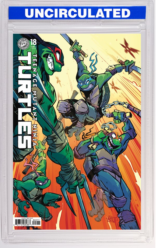 Teenage Mutant Ninja Turtles #18 Variant RI (Bean)