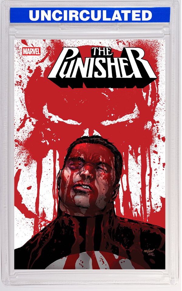 Punisher #6