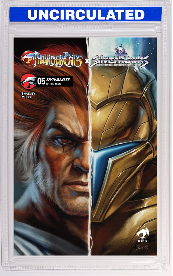 Thundercats X Silverhawks #5 CVR B Lucio Parrillo VAR