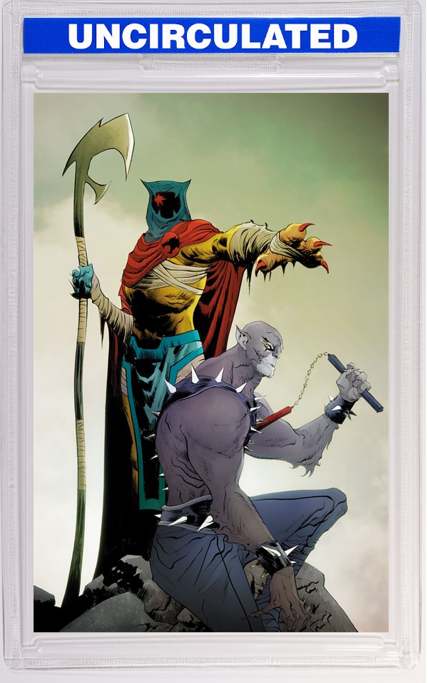 Thundercats #23 CVR J INC Jae Lee Virgin VAR