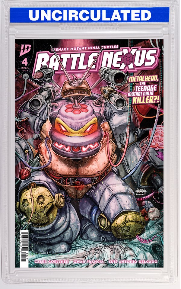 Teenage Mutant Ninja Turtles: Battle Nexus #4 Variant B (Williams II)