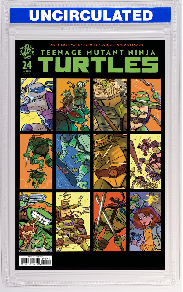Teenage Mutant Ninja Turtles #24 Variant RI (Perez)