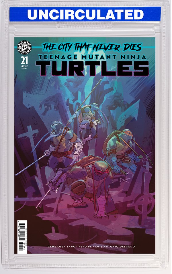 Teenage Mutant Ninja Turtles #21 Variant C (Menheere)