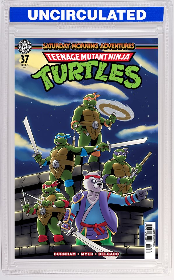 Teenage Mutant Ninja Turtles: Saturday Morning Adventures #37 Variant C (Miller)