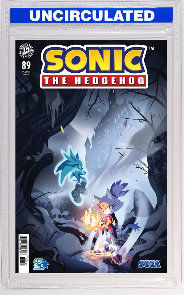 Sonic The Hedgehog #89 Variant RI (Fourdraine)