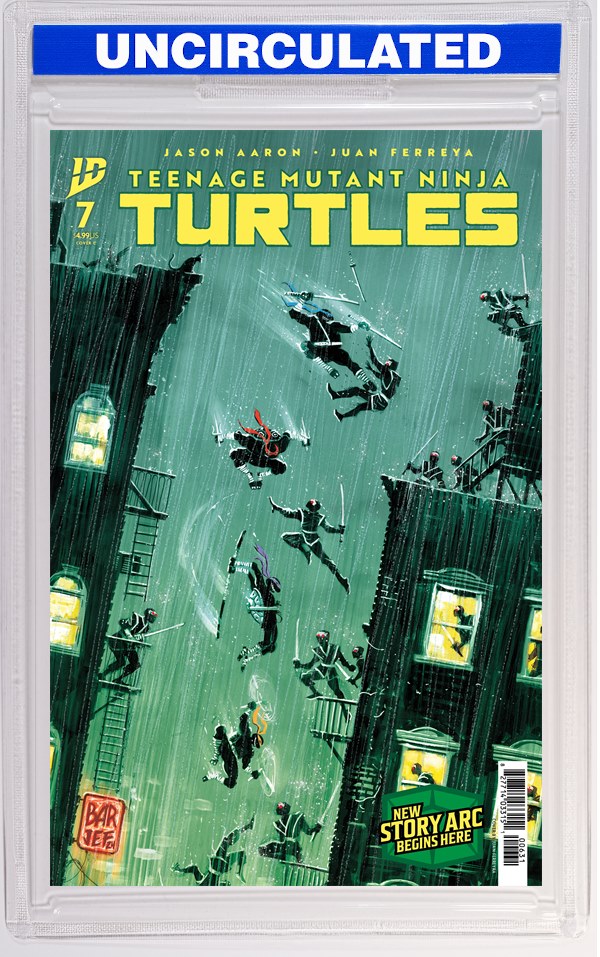 Teenage Mutant Ninja Turtles #7 Variant C (Ferreyra)