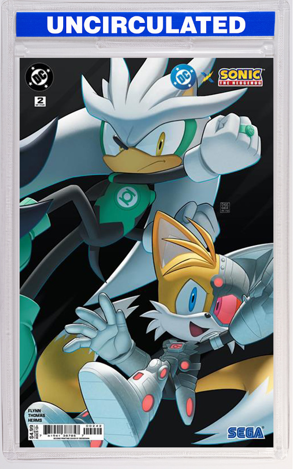 DC X Sonic The Hedgehog #2 Deegeemin Connecting Variant (2nd Printing)