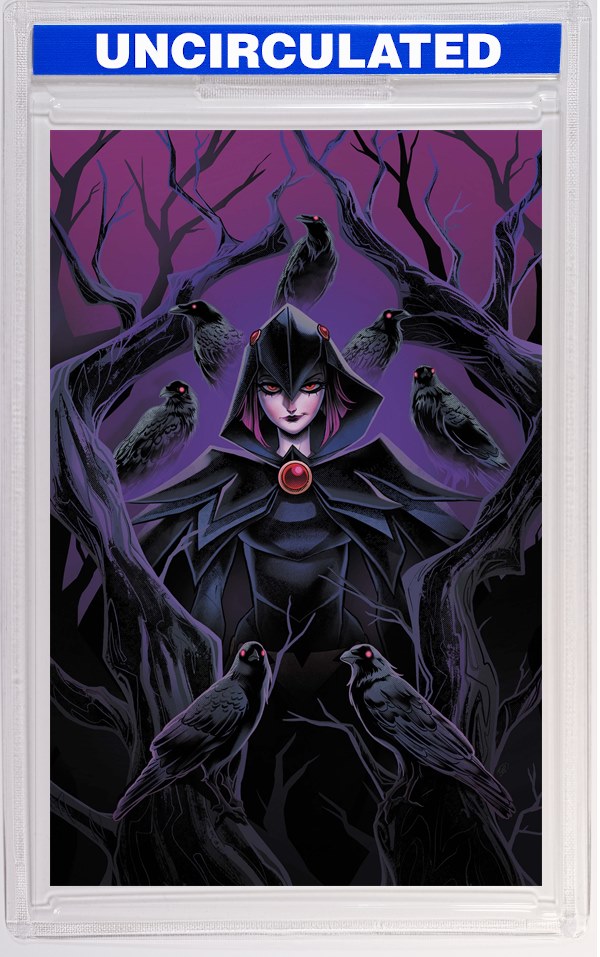 DCs Quoth The Raven Whatever #1 (One Shot) CVR A Sweeney Boo