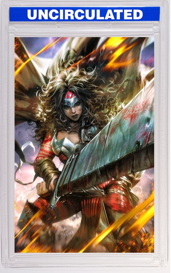 Absolute Wonder Woman #13 CVR B Derrick Chew Card Stock VAR