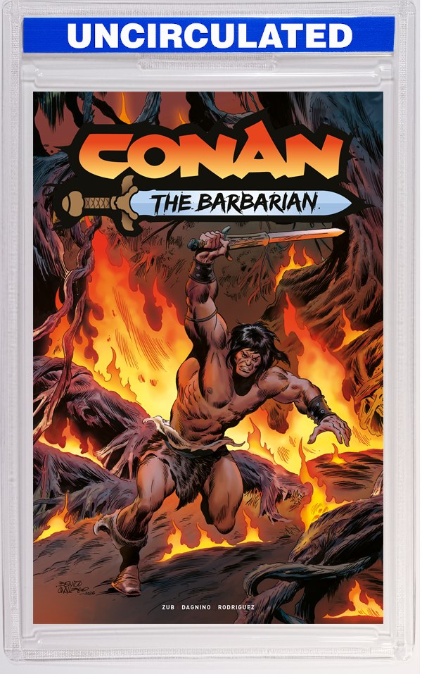 Conan The Barbarian #35 CVR D Benito Gallego (MR)