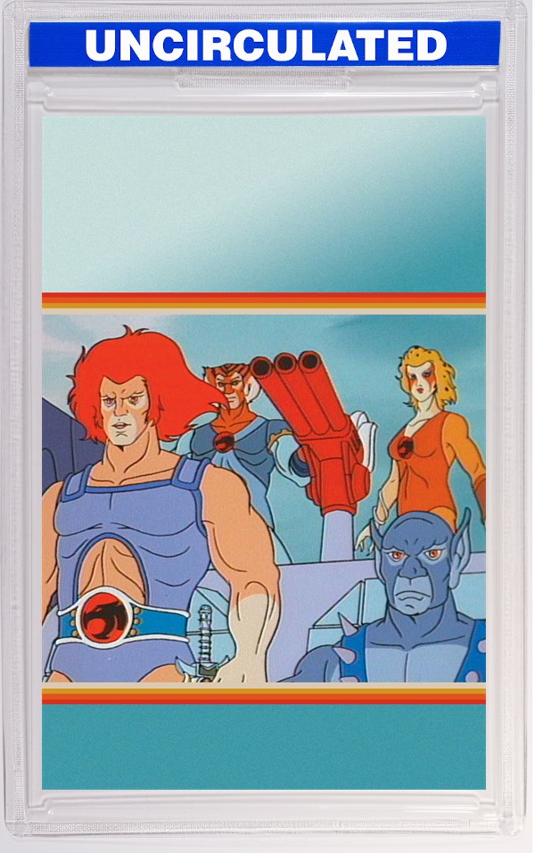 Thundercats X Silverhawks #2 CVR G INC Animation Art Virgin VAR