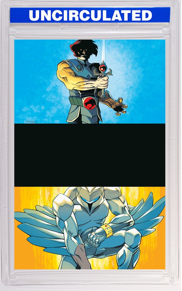 Thundercats X Silverhawks #1 CVR P INC Declan Shalvey Virgin VAR