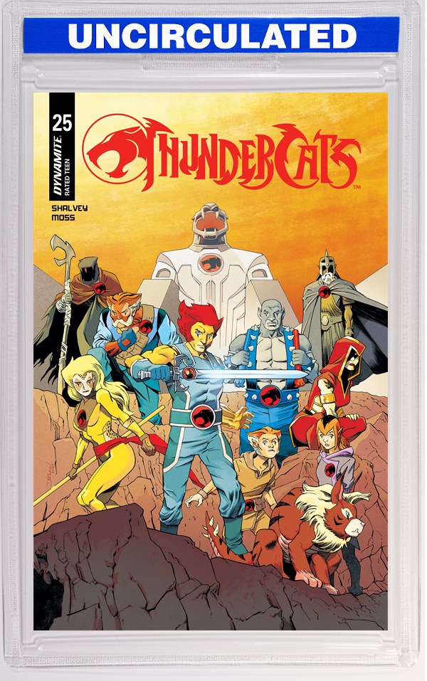 Thundercats #25 CVR B Declan Shalvey VAR