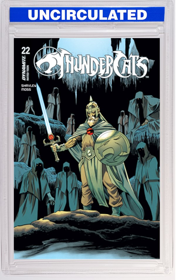 Thundercats #22 CVR B Declan Shalvey VAR